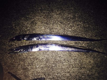 沖堤防でワインド♪