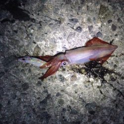 何とか粘って…