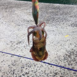 荒れの中の釣果