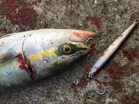 ツバスゲット！