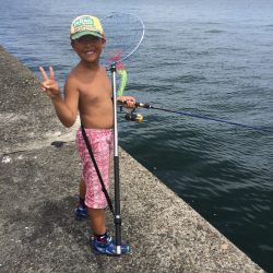 蛸のつもりが鯵に