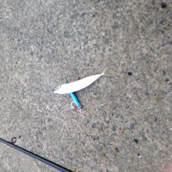 ショアジギング