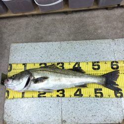 人生初シーバス！