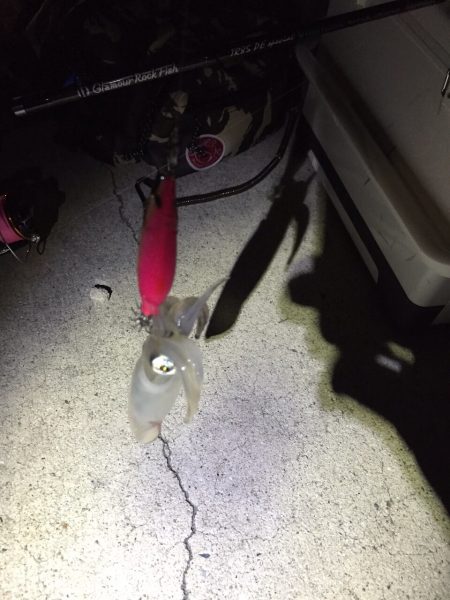 食べて美味しいターゲット