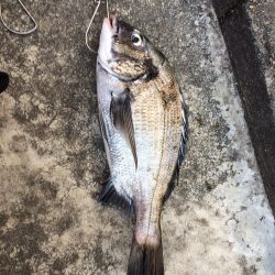 なんちゃって落とし込み