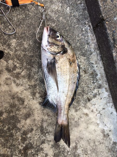 なんちゃって落とし込み