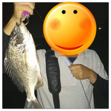 マイポイントでチニング修行