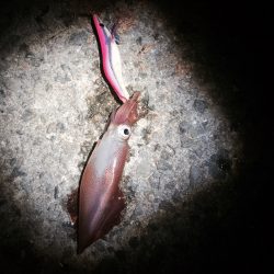 アフターケンサキ