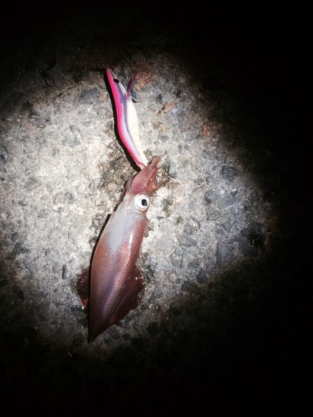 アフターケンサキ