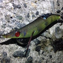 カミナリピカピカ