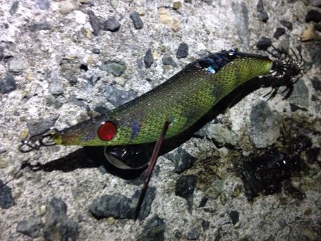 カミナリピカピカ