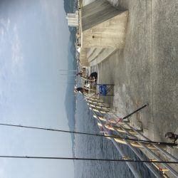 淡路島プチ遠征