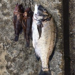 なんちゃって落とし込みPart2