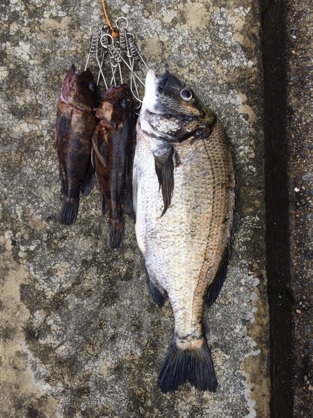 なんちゃって落とし込みPart2