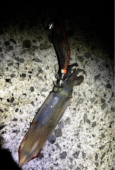 流行りに乗っかれず(艸дﾟ*)