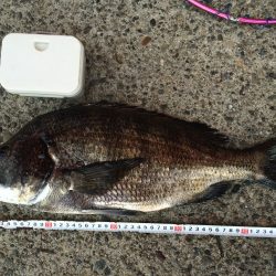 年無しがキター！