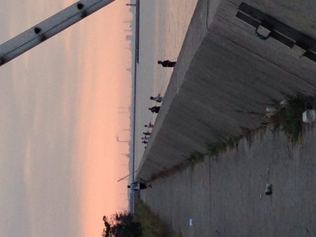 2匹目のドジョウのはずが？