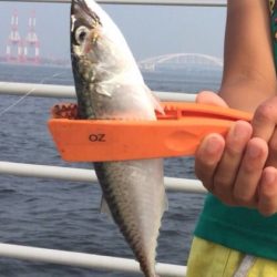 甥っ子達とサビキ