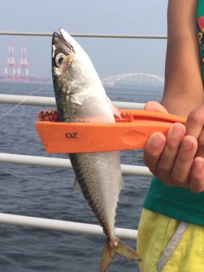 甥っ子達とサビキ