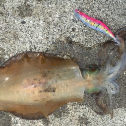 まだいてくれた