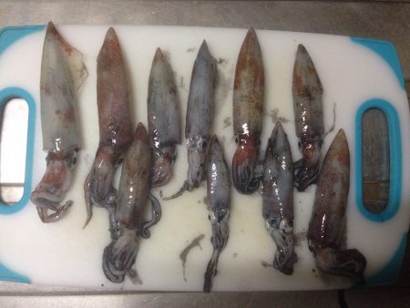 ケンサキ 初つ抜け