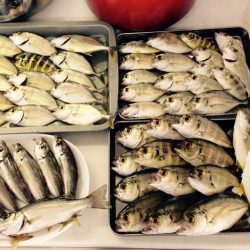 メッキゲーム！