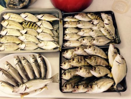 メッキゲーム！