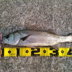 仕事帰りの中島埠頭