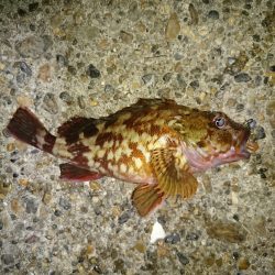 怒らせてしまった❗