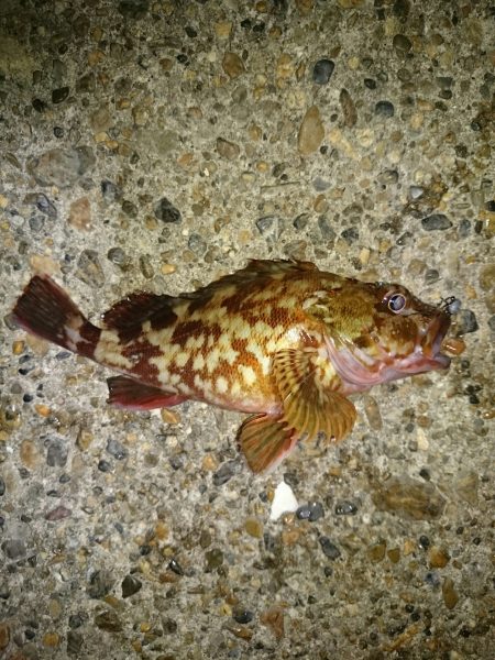 怒らせてしまった❗