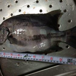 あれ？また回ってきた？