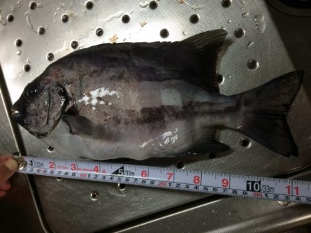 あれ？また回ってきた？