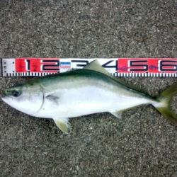 大蔵海岸のトップゲームでグランドスラム達成