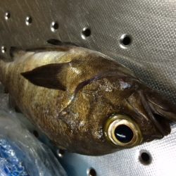 やっぱり前回のはマグレだった・・・