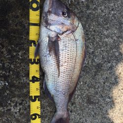 ショアラバ？ワーミング