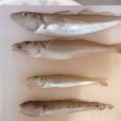 あれは一体……………………。