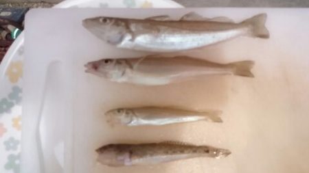 あれは一体……………………。