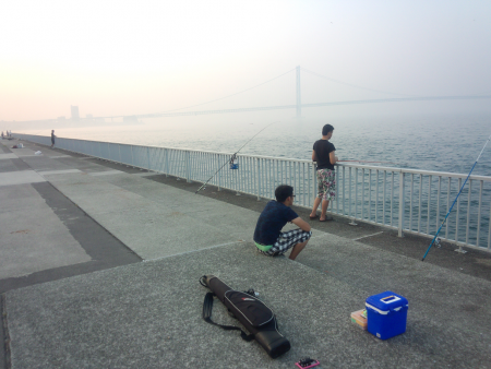 サビキでウルメイワシ&豆アジ