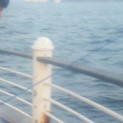 舞洲でサビキ！