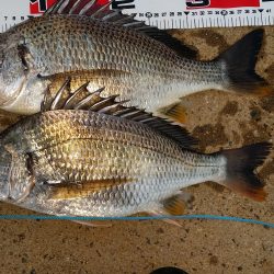 待ち人来たらず