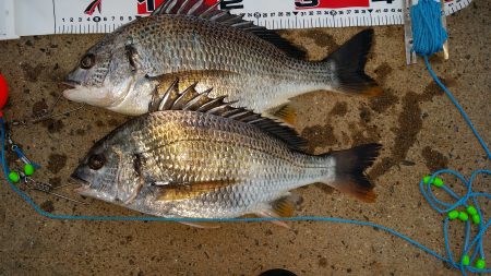 待ち人来たらず