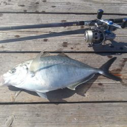 海上釣堀岬～！ナイター！