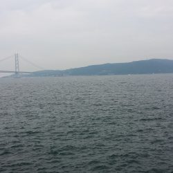 なんとか一匹GETしました！！