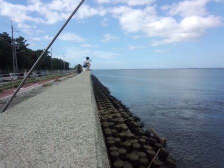 武庫川尻ジャンボサヨリは朝駆けで