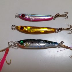 カマス釣れました。