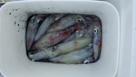 小っちゃいけど釣れました(^^)v