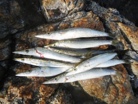 冲磯チャレンジ