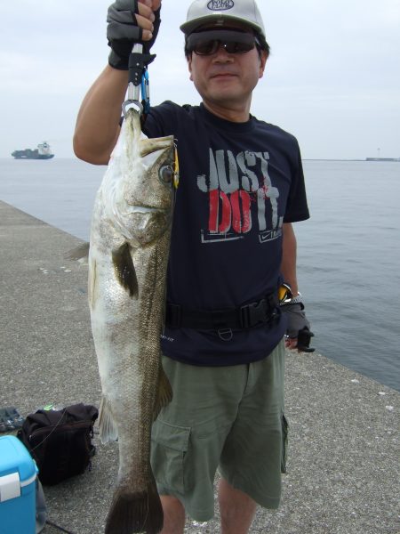 久々の「スズキ」ゲット