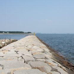 メタルジグ40gでメタボガシラをゲット