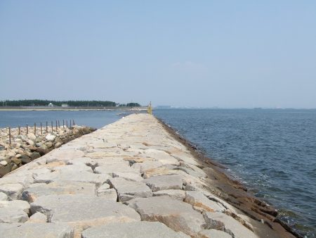 メタルジグ40gでメタボガシラをゲット